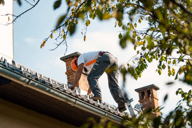 Best Roof Gutter Cleaning  in Byers, CO
